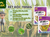 Giải pháp quản lý bọ trĩ, muỗi hành, rầy nâu tối ưu nhất dành cho bà con