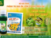 Giải pháp sinh học phòng trị bệnh đạo ôn, đốm lá, khô vằn và bạc lá, lép vàng trên cây lúa do vi khuẩn gây ra.